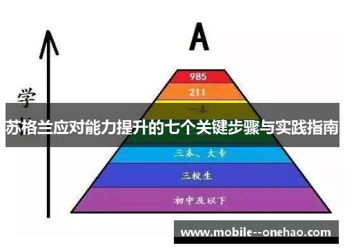 苏格兰应对能力提升的七个关键步骤与实践指南