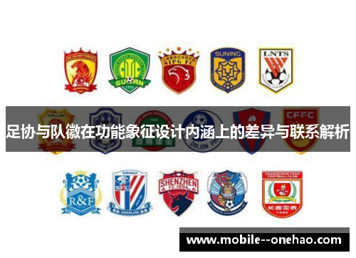 足协与队徽在功能象征设计内涵上的差异与联系解析