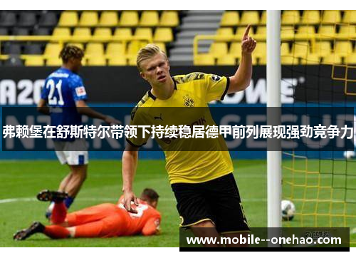 弗赖堡在舒斯特尔带领下持续稳居德甲前列展现强劲竞争力