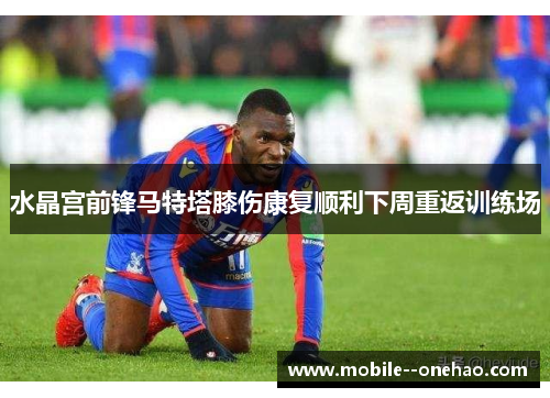 水晶宫前锋马特塔膝伤康复顺利下周重返训练场
