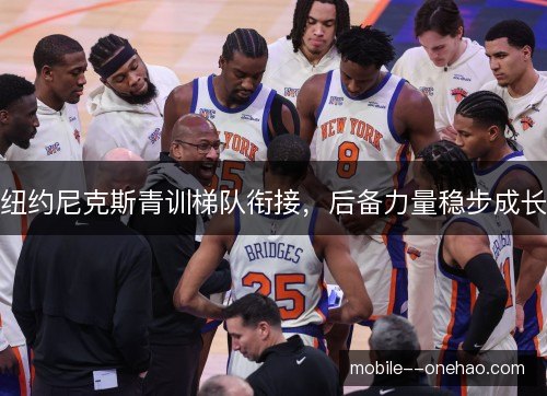 纽约尼克斯青训梯队衔接，后备力量稳步成长