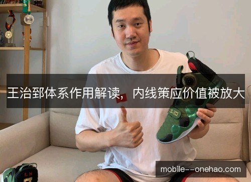 王治郅体系作用解读，内线策应价值被放大